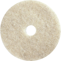 Tampons pour l'entretien des planchers, 21", Brunissage, Brun O-Max