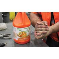 Nettoyant pour les mains &agrave; l'orange, Pierre ponce, 3,6 L, Cruche, Orange O-Max