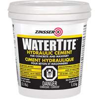 Watertite&reg; Hydraulic Cement O-Max