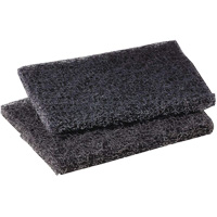 Tampon de polissage pour plaque de cuisson Scotch-Brite, 4" lo x 5" la O-Max