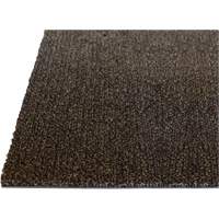 Tapis dint&eacute;rieur Palliser, Essuie-pieds/grattoir, 3-1/2' x 6' x 5/16", Anglis O-Max