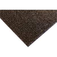 Tapis dint&eacute;rieur Palliser, Essuie-pieds/grattoir, 3-1/2' x 6' x 5/16", Anglis O-Max