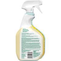 Nettoyant tout usage CloroxPro Clorox EcoClean, 946 ml, Bouteille &agrave; g&acirc;chette O-Max