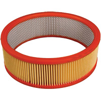 Antimicrobial Vacuum Secondary Filter, Hepa O-Max
