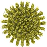 Brosse ronde HyDrive pour perceuse, Soies Tr&egrave;s ferme, Longueur de 3-1/10", Jaune O-Max