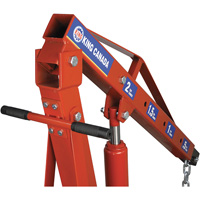 2-Ton Folding Shop Crane, 4000 lbs. (2 tons) Capacity LA561 | O-Max