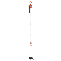 Mini Lever Hoist, 15' Lift, 500 lbs. (0.25 tons) Capacity, Steel Chain O-Max