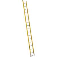 Single Section Straight Ladder - 6100 Series, 16', Fibreglass, 375 lbs., CSA Grade 1AA O-Max