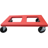 Socle