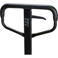 Steel Wheel Pallet Truck, Steel, 48" L x 27" W, 5500 lbs. Capacity O-Max