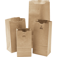 #3 Kraft Bag, Paper, 4-3/4" W x 8-1/2" L PG697 | O-Max