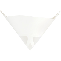 Filtres de peinture O-Max