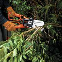 Alligator&reg; Lopper O-Max