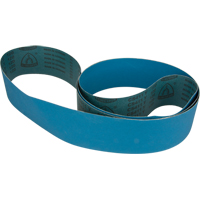 Courroie abrasive bleu O-Max