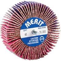 Mini-meule &agrave; lamelles filet&eacute;es, C&eacute;ramique d'alumine, Grain 40, 3" x 1" x 1/4"-20 O-Max