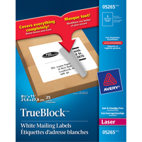 &eacute;tiquettes d'exp&eacute;dition au laser TrueBlock, 11" la x 8,5" la x Blanc O-Max