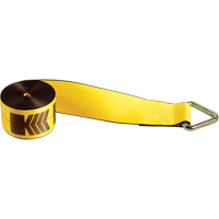 Winch Straps, Delta Ring, 4" W x 30' L, 5400 lbs. (2450 kg) Working Load Limit O-Max