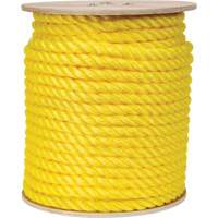 Corde jaune tress&eacute;e, Polypropyl&egrave;ne, 300' O-Max