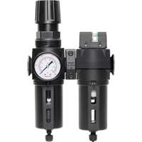 Filtre/d&eacute;tendeur & filtre coalescent Modulair 300 avec bol standard & drain manuel, 3/8" NPTF, 150 psi, Capacit&eacute; de 5,12 oz liq O-Max