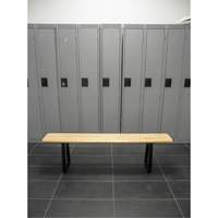 Locker Room Bench, Wood, 48" L x 9-1/4" W x 16-1/2" H RL871 | O-Max