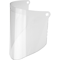 Face Protection