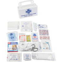 First Aid Kit, Class 1 Medical Device, Plastic B O-Max