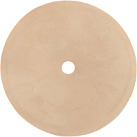 Survivair&reg; Inhalation Valve O-Max