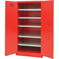 Armoire pour peintures et encres, 96 gal., 5 tablettes O-Max