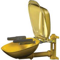 Postes de douche oculaire/faciale Halo, Installation Montage mural, Bol Plastique O-Max