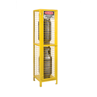 Gas Cylinder Cabinets, 2 Cylinder Capacity, 17" W x 17" D x 69" H, Yellow SEB838 | O-Max