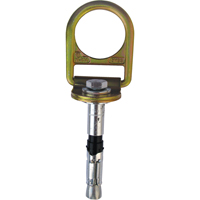 PRO Concrete D-ring Anchor with Bolt, Concrete/D-Ring, Permanent Use O-Max