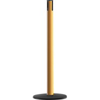 Advance TensaBarrier<sup>®</sup> - Receiver Post, 36" High, Yellow SEH492 | O-Max