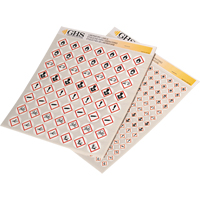 GHS Hazard Pictogram Label Variety Packs, Vinyl, Sheet, 1" L x 1" W O-Max