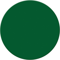 Marqueurs all&eacute;g&eacute;e/5S Armor Stripe, Cercle, 6" lo x 6" la, Vert, Plastique O-Max