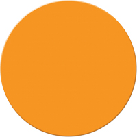 Marqueurs all&eacute;g&eacute;e/5S Armor Stripe, Cercle, 6" lo x 6" la, Orange, Plastique O-Max