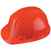 Casque Mont-Blanc de North, R&eacute;pond aux normes CSA type 2, Suspension Rochet, Non ventil&eacute; O-Max