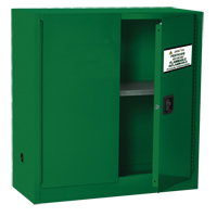 Pesticide Storage Cabinet, 30 gal., 44" H x 43" W x 18" D SGD360 | O-Max
