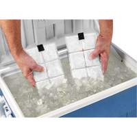 Sachets pour veste de refroidissement &agrave; changement de phase 6260 Chill-Its O-Max