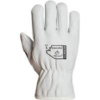Gants de conducteur doubl&eacute;s pour l'hiver Endura, T-Grand, Paume en Cuir fleur de ch&egrave;vre, Thinsulate O-Max