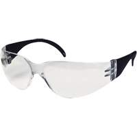 CeeTec Safety Glasses, Clear Lens, Anti-Fog/Anti-Scratch, Meets/Exceeds CSA Z94.3 O-Max