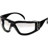 CeeTec DX Safety Glasses, Clear Lens, Anti-Fog/Anti-Scratch, Meets/Exceeds CSA Z94.3 O-Max