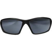 Lunettes de s&eacute;curit&eacute; Robson avec joint, Lentille Miroir argent&eacute;, Anti-&eacute;gratignures/Polaris&eacute;, ANSI Z87+/MCEPS GL-PD 10-12/R&eacute;pond ou surpasse la norme CSA Z94.3 O-Max