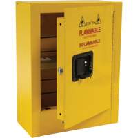 Armoire de s&eacute;curit&eacute; miniature pour produits inflammables, 2 gal., 1 Porte(s), 17" La x 22" h x 8" p O-Max