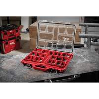 Organisateur profil&eacute; Packout, 19-3/4" x 16-2/5" x 2-1/2", Noir/Rouge O-Max