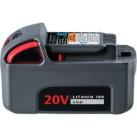 IQV20 High Capacity Battery, Lithium-Ion, 20 V, 5 Ah O-Max