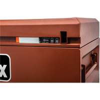 Armoire Site-Vault, 30" x 20" x 19-3/4", Acier, Orange O-Max
