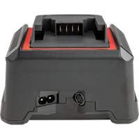 2.5 Ah & 5.0 Ah Battery Charger, 120 V, Lithium-Ion O-Max