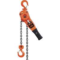 KLP Series Lever Chain Hoists, 5' Lift, 1500 lbs. (0.75 tons) Capacity, Steel Chain UAW095 | O-Max