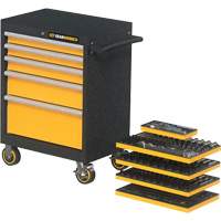 Mechanics Tool Set in Modular Foam Trays with Storage Unit, 247 Pieces O-Max