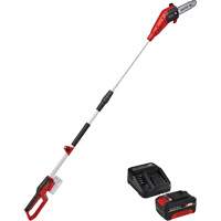 Cordless Pole Chain Saw with 4Ah Battery & Charger Starter Kit O-Max